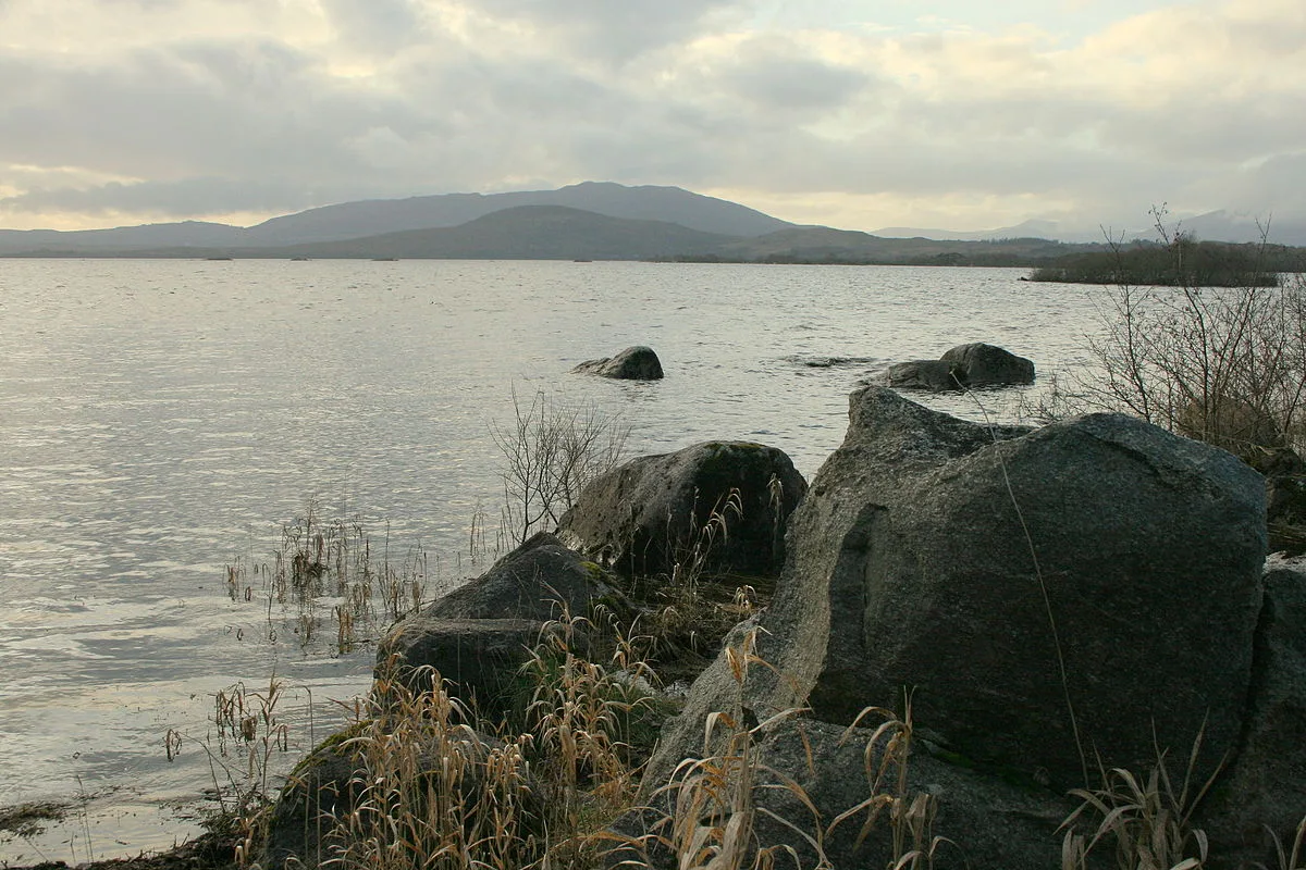 By Sarah777 - Own work, Public Domain, https://commons.wikimedia.org/w/index.php?curid=5902440